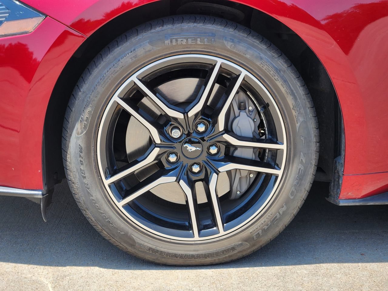 Used 2019 Ford Mustang GT Premium w/ Equipment Group 401A RWD image 9