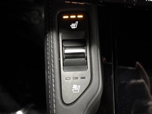 Used 2024 Kia Telluride SX X-Line image 8