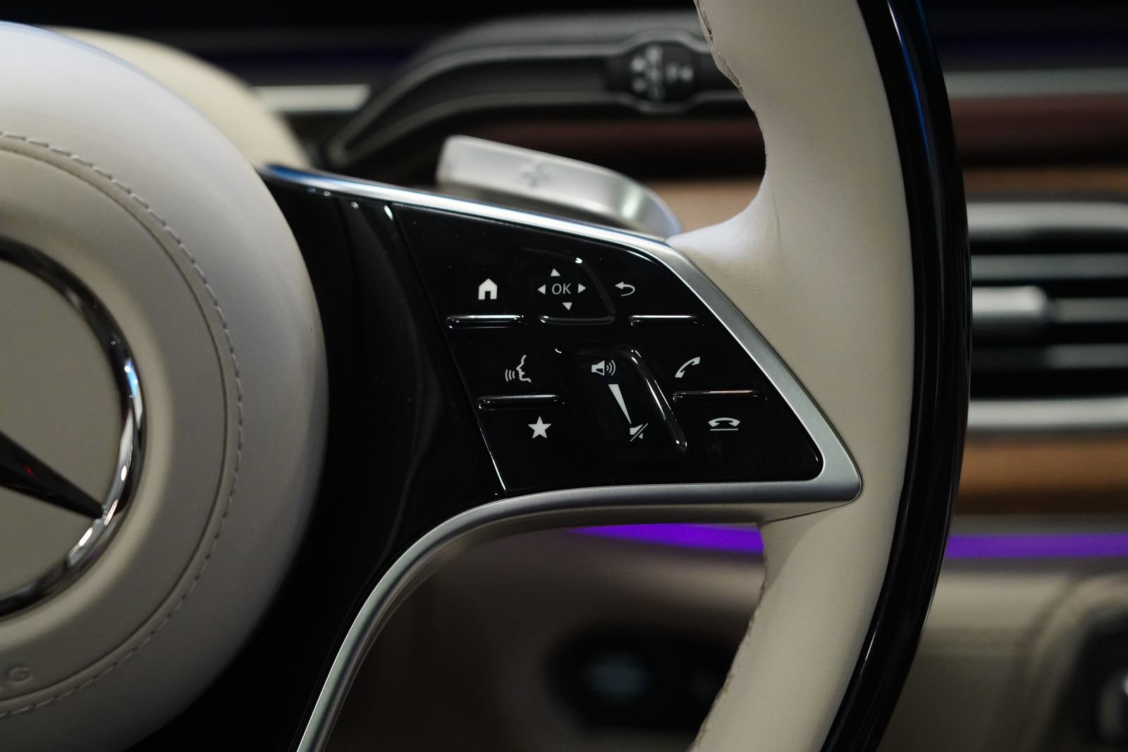 New 2026 Mercedes-Benz Maybach GLS 600 4MATIC image 21