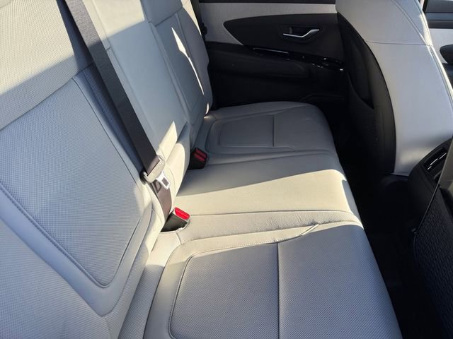 Used 2025 Hyundai Santa Cruz Limited image 14