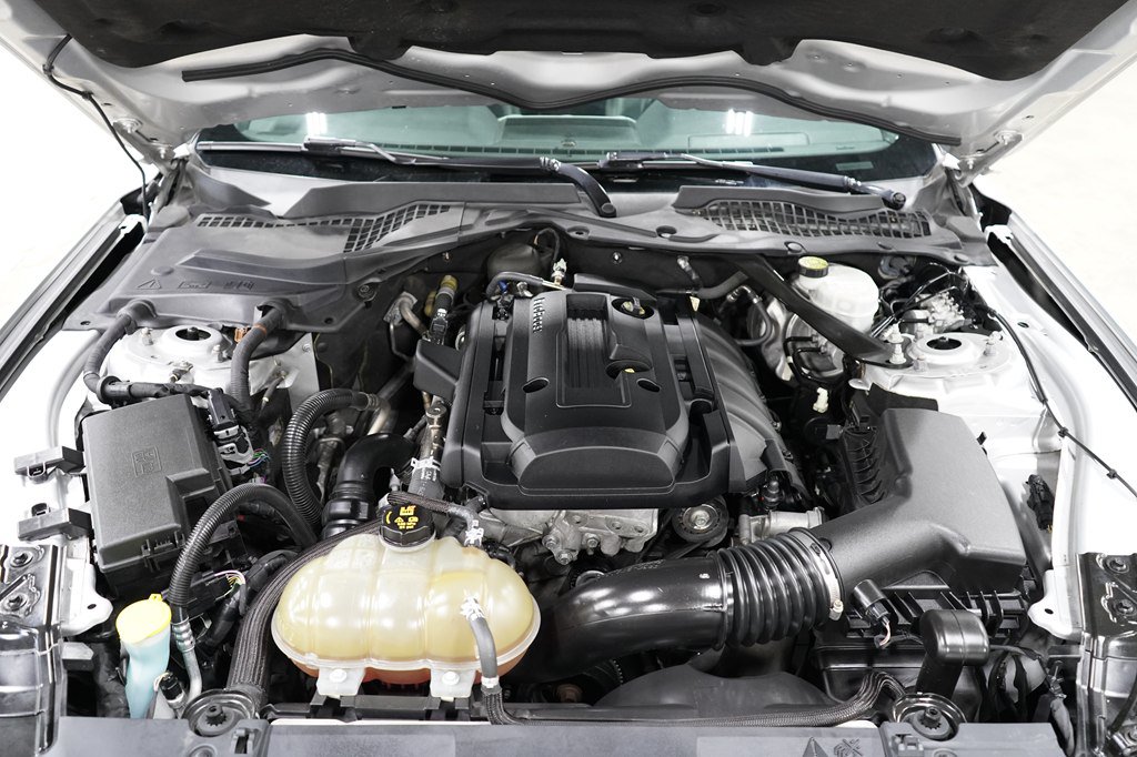 Used 2019 Ford Mustang Premium RWD image 19