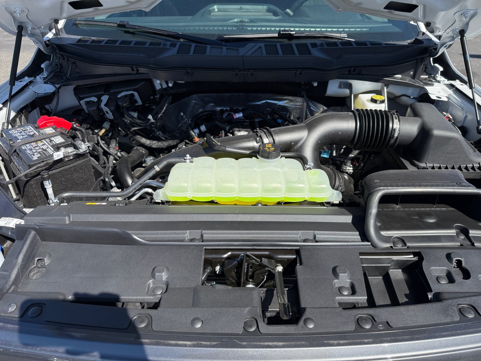 New 2026 Ford F150 STX w/ Equipment Group 200A RWD image 20