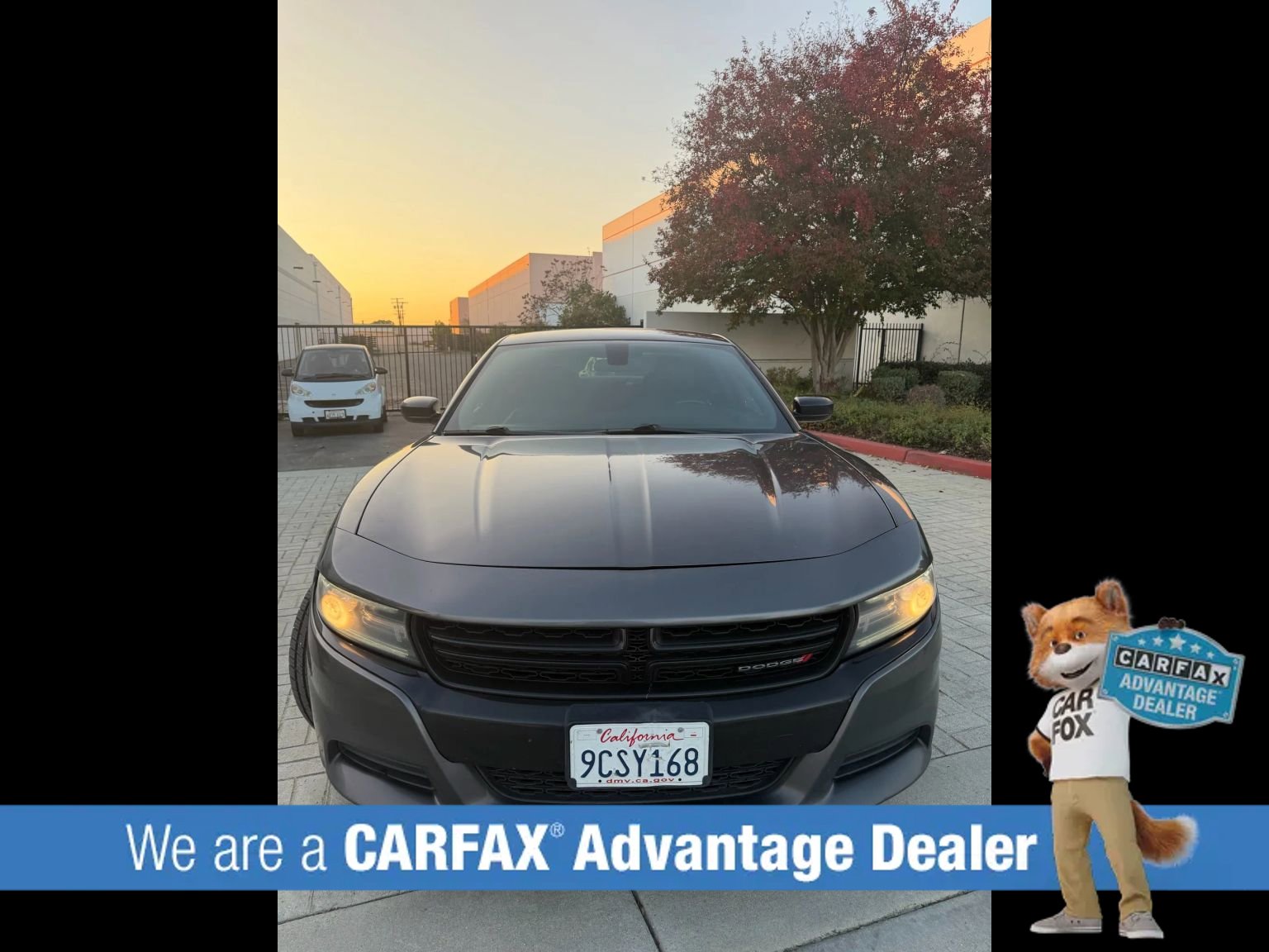 Used 2018 Dodge Charger SXT w/ Blacktop Package image 8