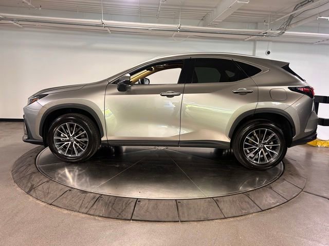 Used 2024 Lexus NX 350 AWD w/ Cold Area Package image 5