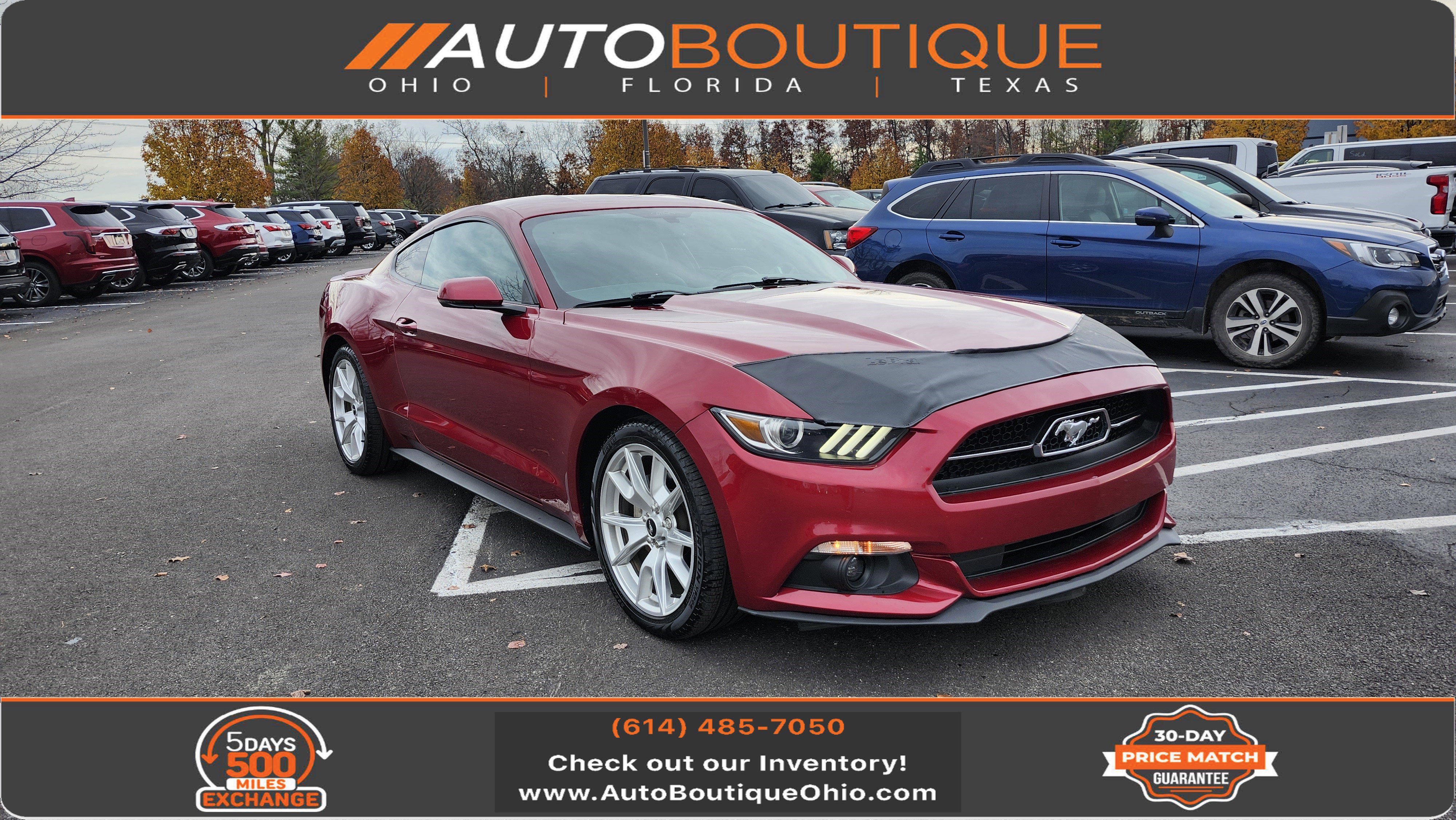 Used 2015 Ford Mustang Premium w/ Equipment Group 201A