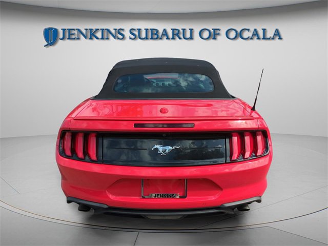 Used 2019 Ford Mustang Premium w/ Equipment Group 201A image 7