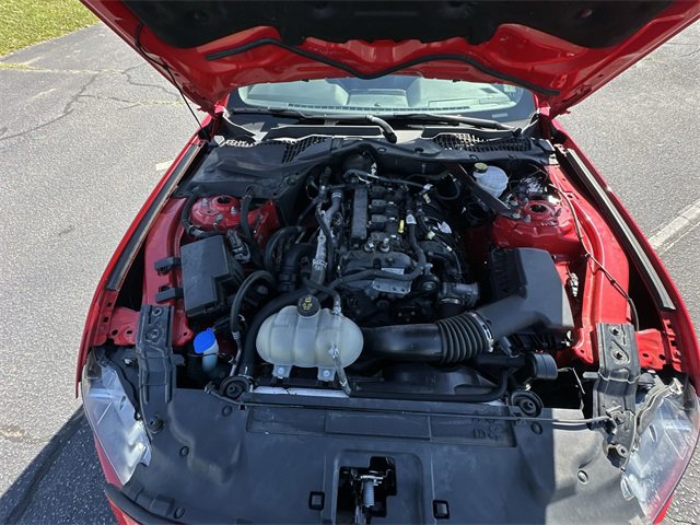 Used 2023 Ford Mustang Premium image 16