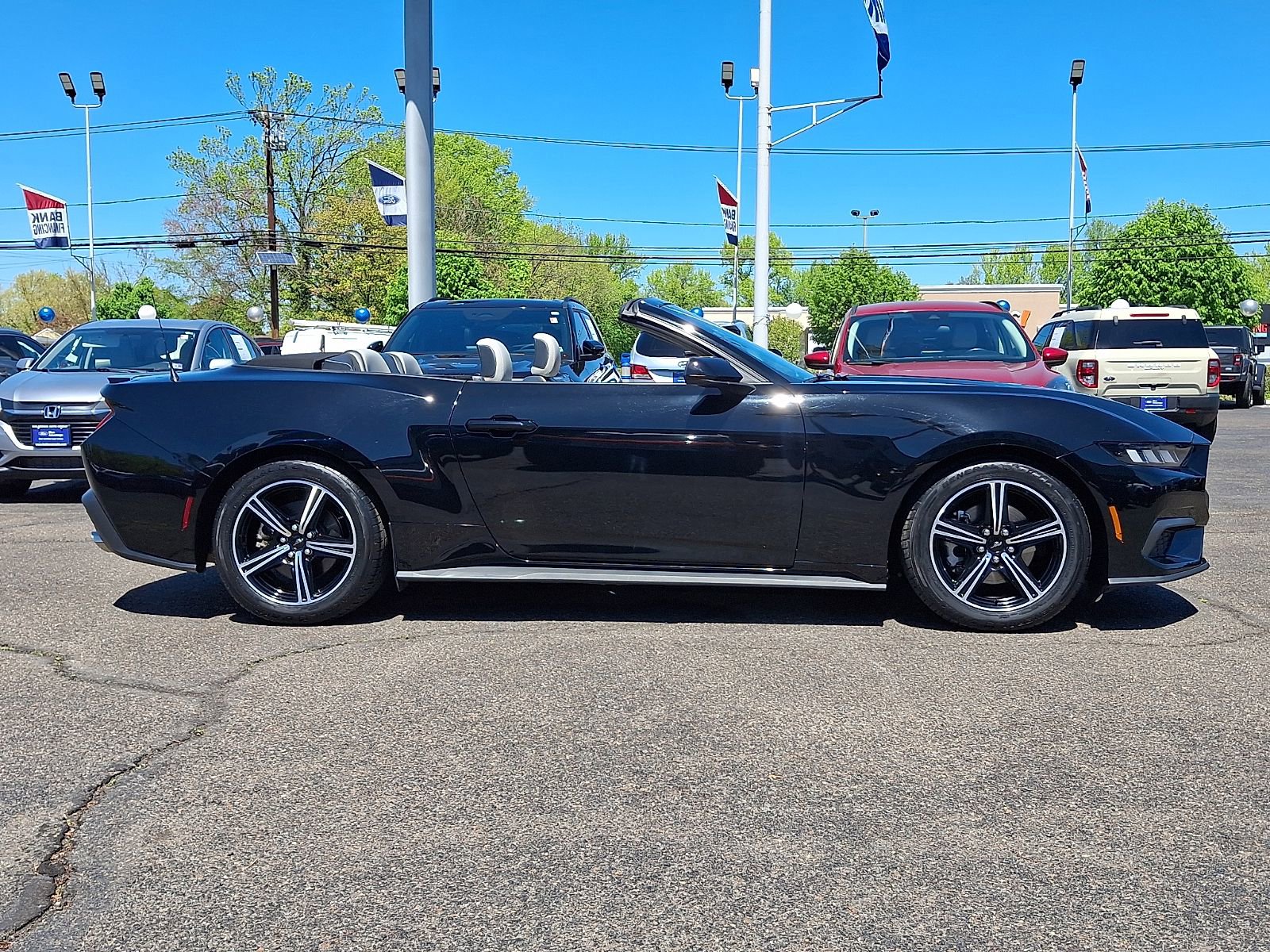 Used 2024 Ford Mustang Premium RWD image 10
