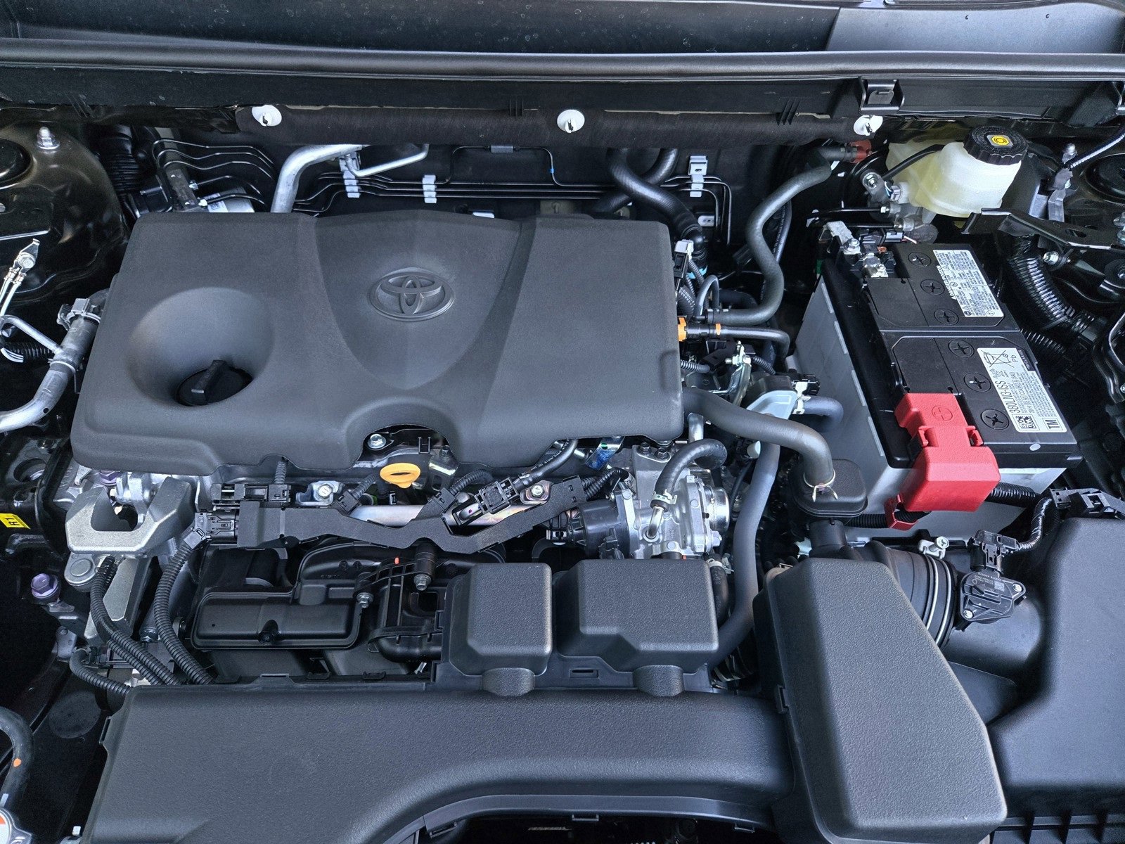 Certified 2025 Toyota RAV4 LE image 23