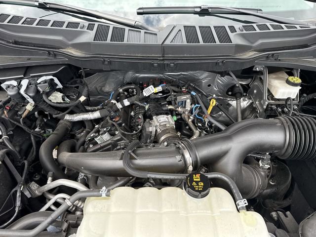 Used 2024 Ford F150 XL AWD/4WD image 19