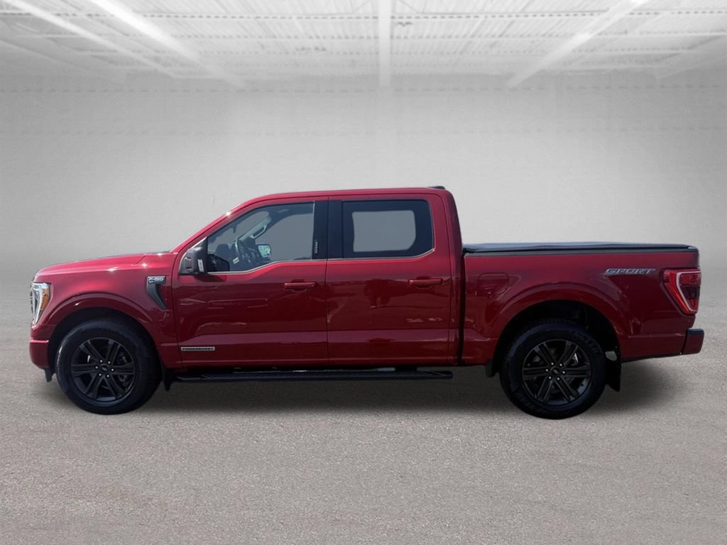 Used 2021 Ford F150 XLT w/ Equipment Group 302A High RWD image 12