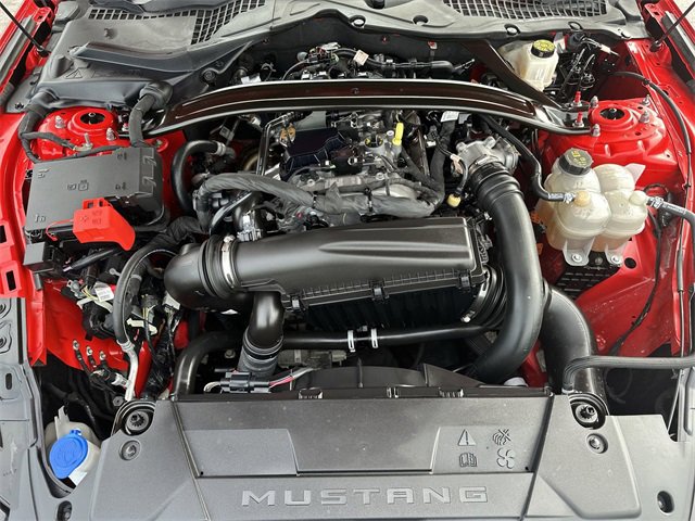 Used 2024 Ford Mustang EcoBoost image 18