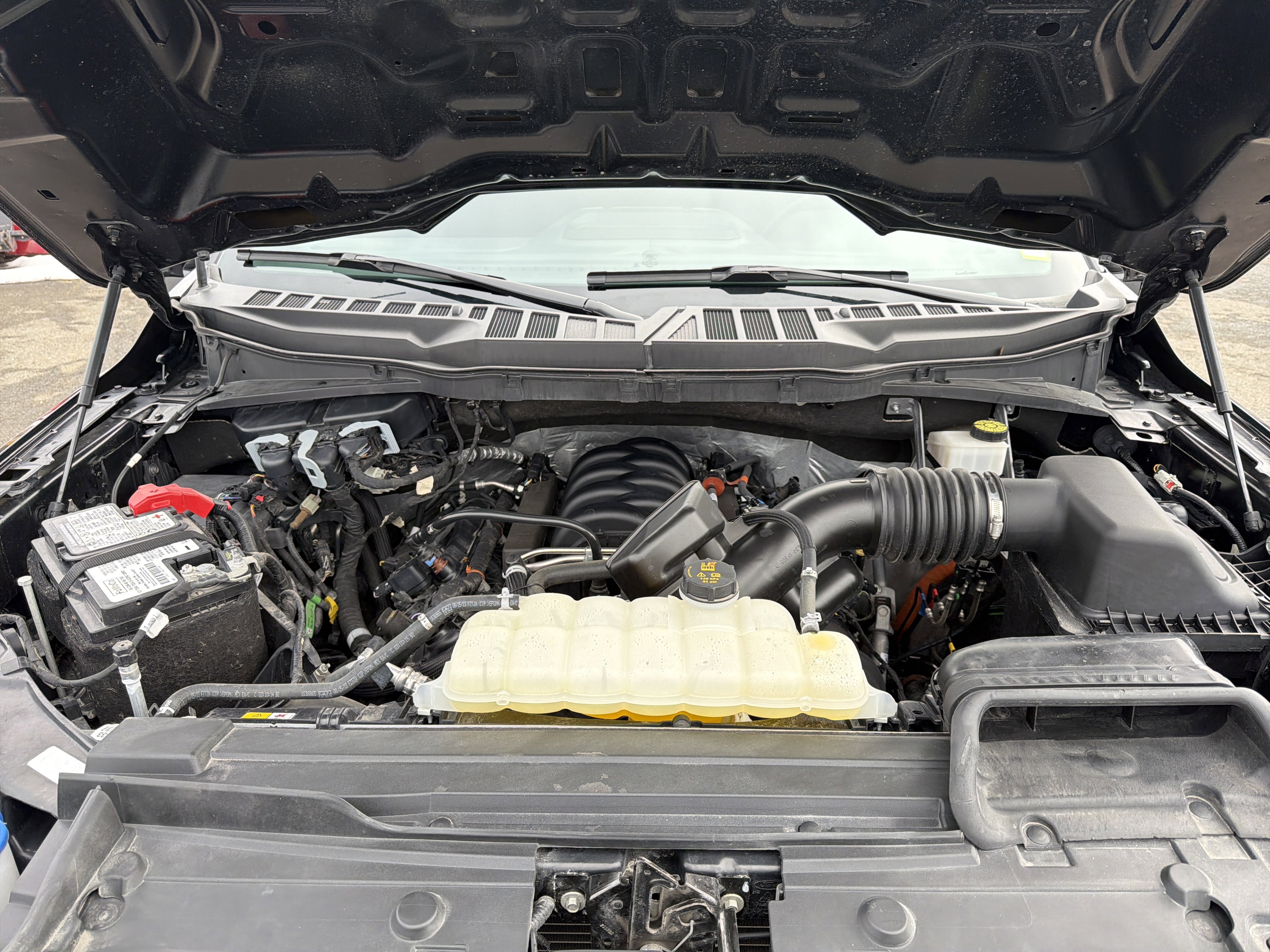 Used 2023 Ford F150 XLT w/ Equipment Group 302A High image 10