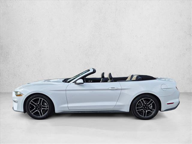 Used 2019 Ford Mustang Premium RWD image 9