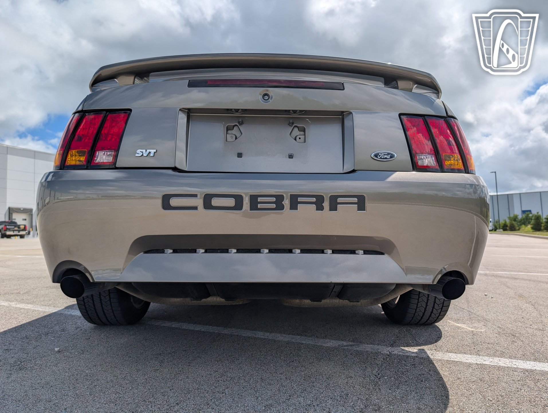 Used 2001 Ford Mustang Cobra image 13