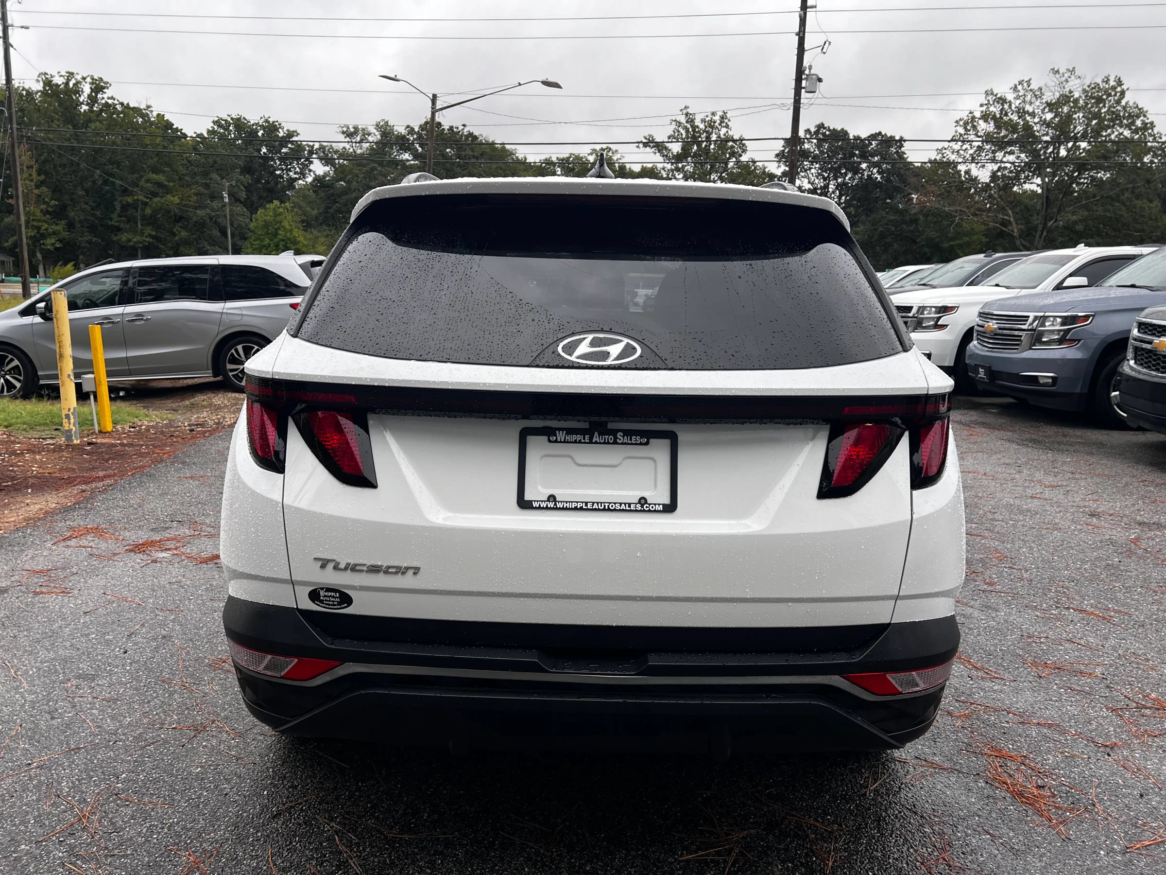 Used 2024 Hyundai Tucson SEL FWD image 6