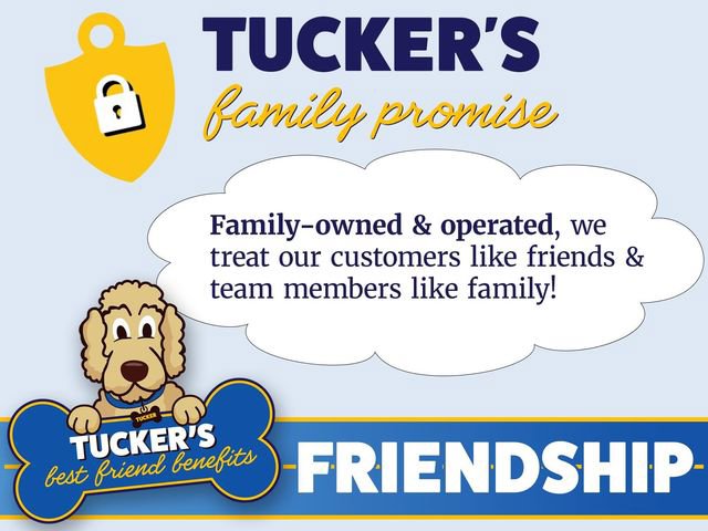 New 2026 Ford Transit 250 148 Medium Roof image 7