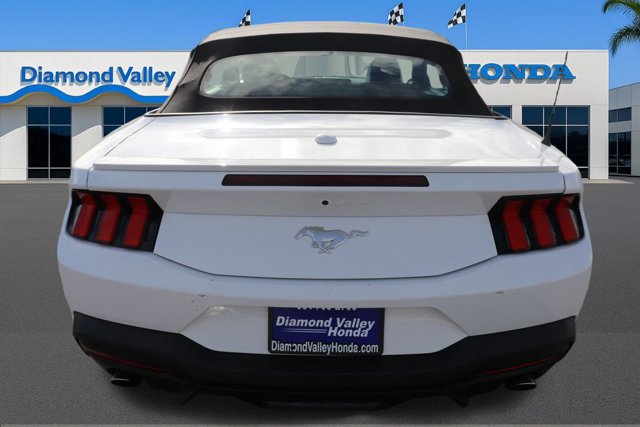 Used 2024 Ford Mustang Premium image 5
