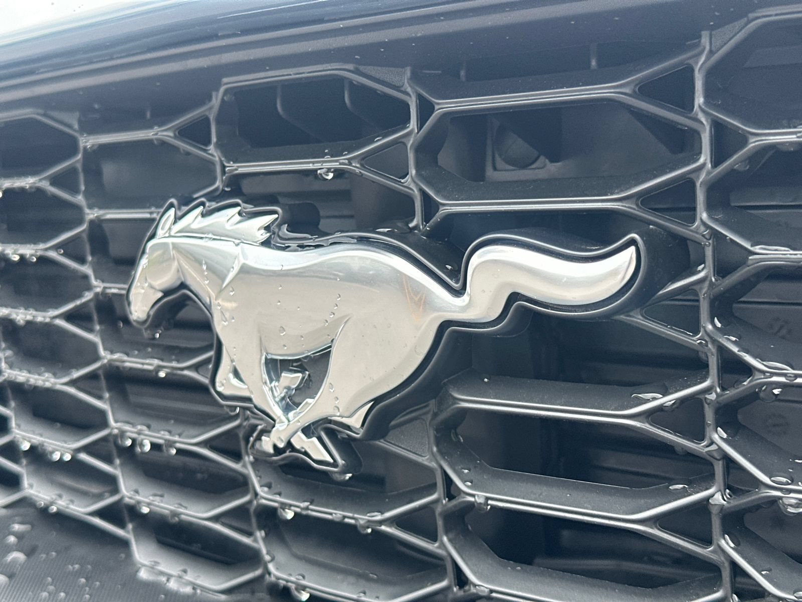 New 2025 Ford Mustang Coupe RWD image 12