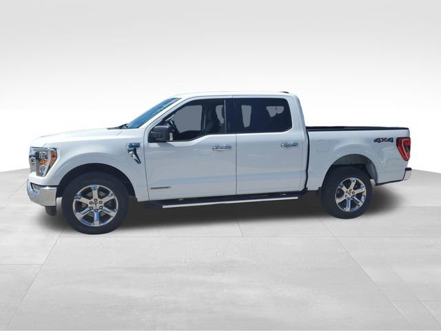 Used 2023 Ford F150 XLT w/ Equipment Group 302A High AWD/4WD image 7