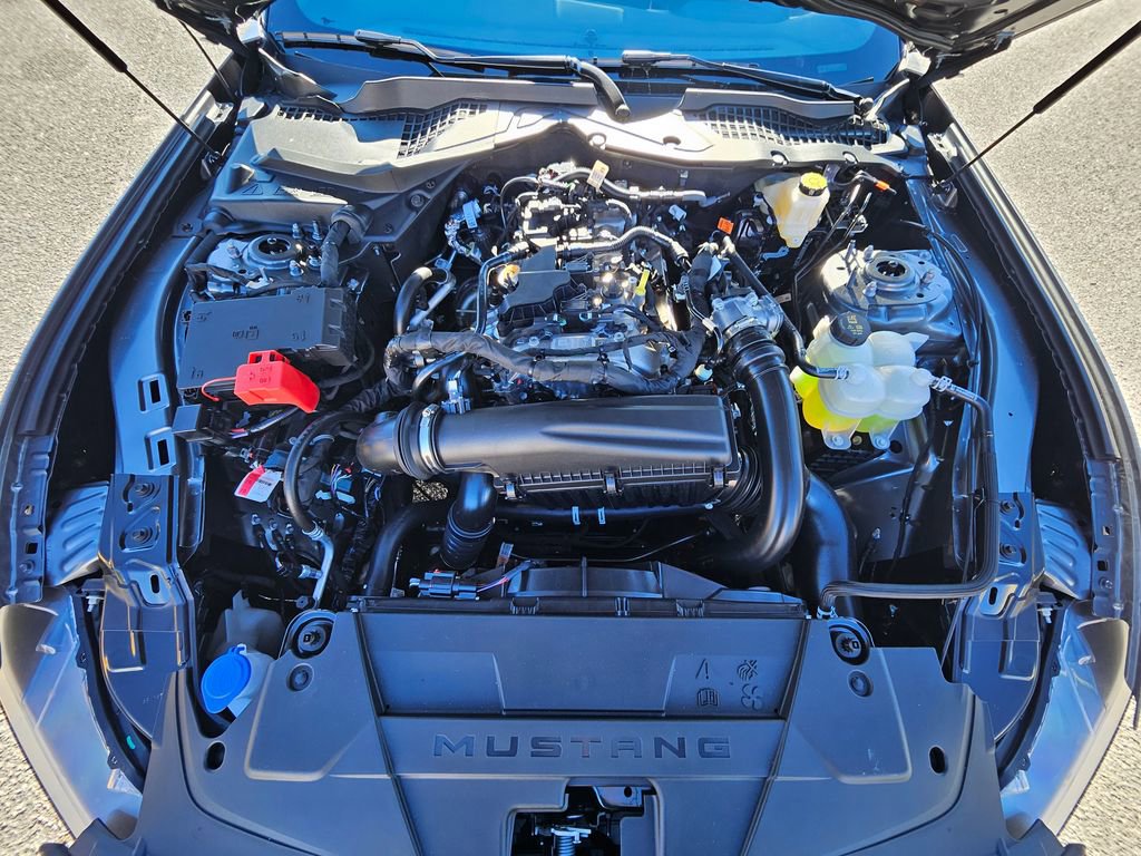 New 2026 Ford Mustang EcoBoost image 28