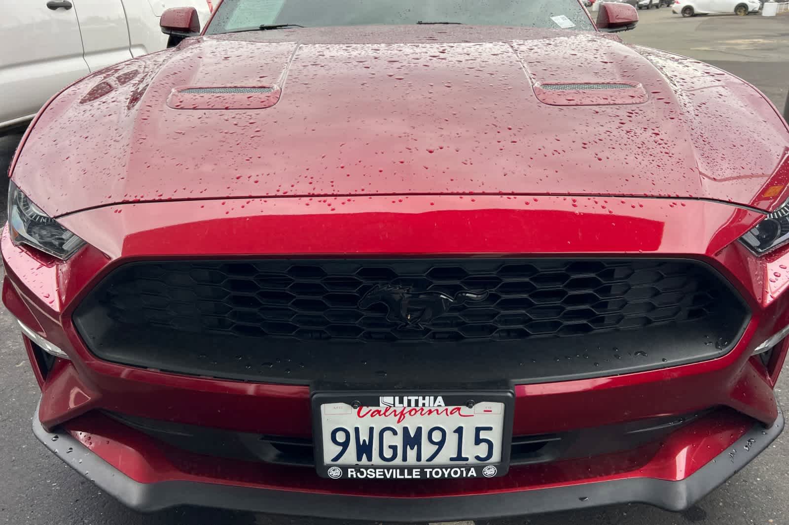 Used 2019 Ford Mustang Premium w/ Equipment Group 201A RWD image 12