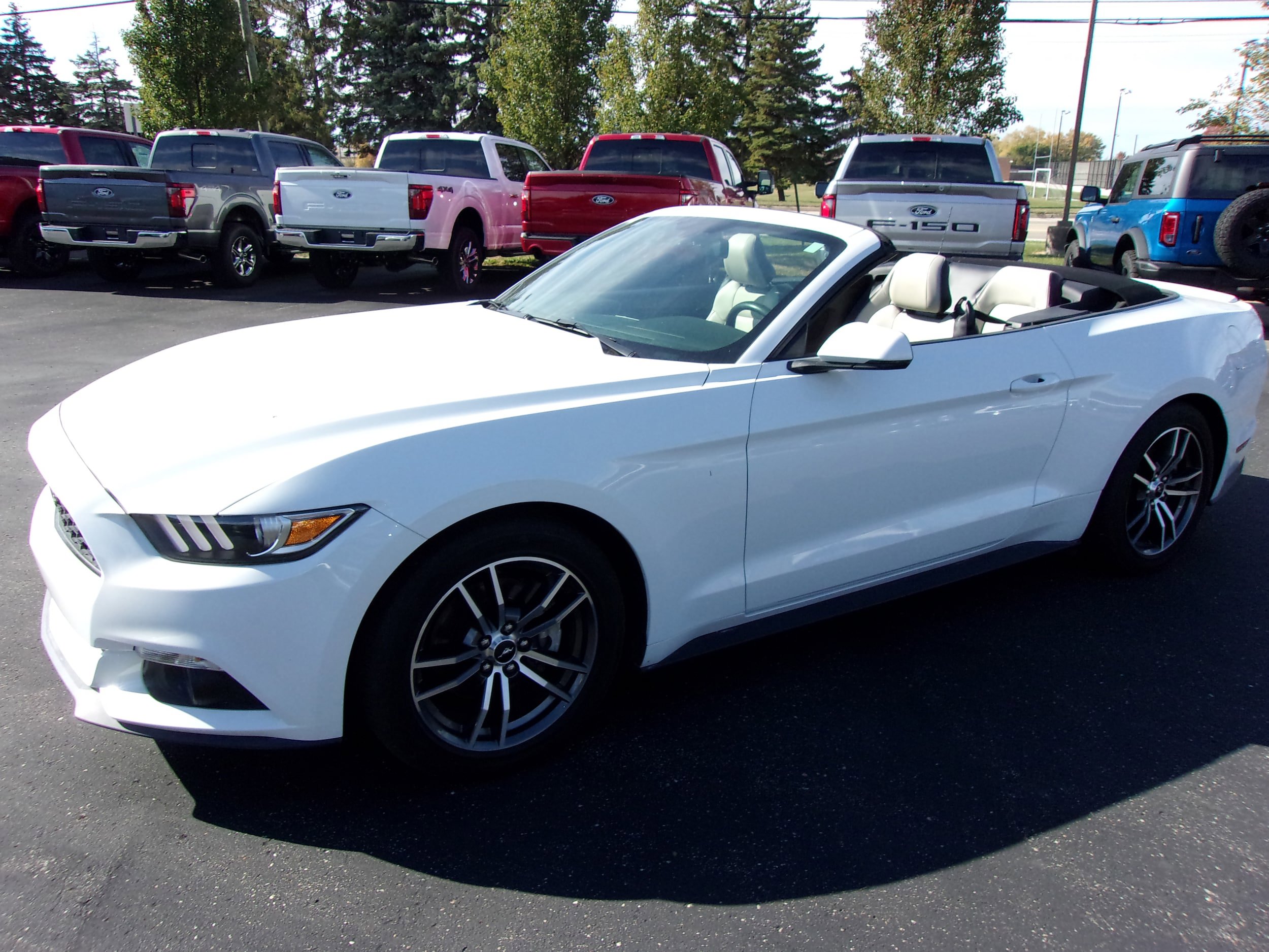 Used 2017 Ford Mustang Premium RWD image 14