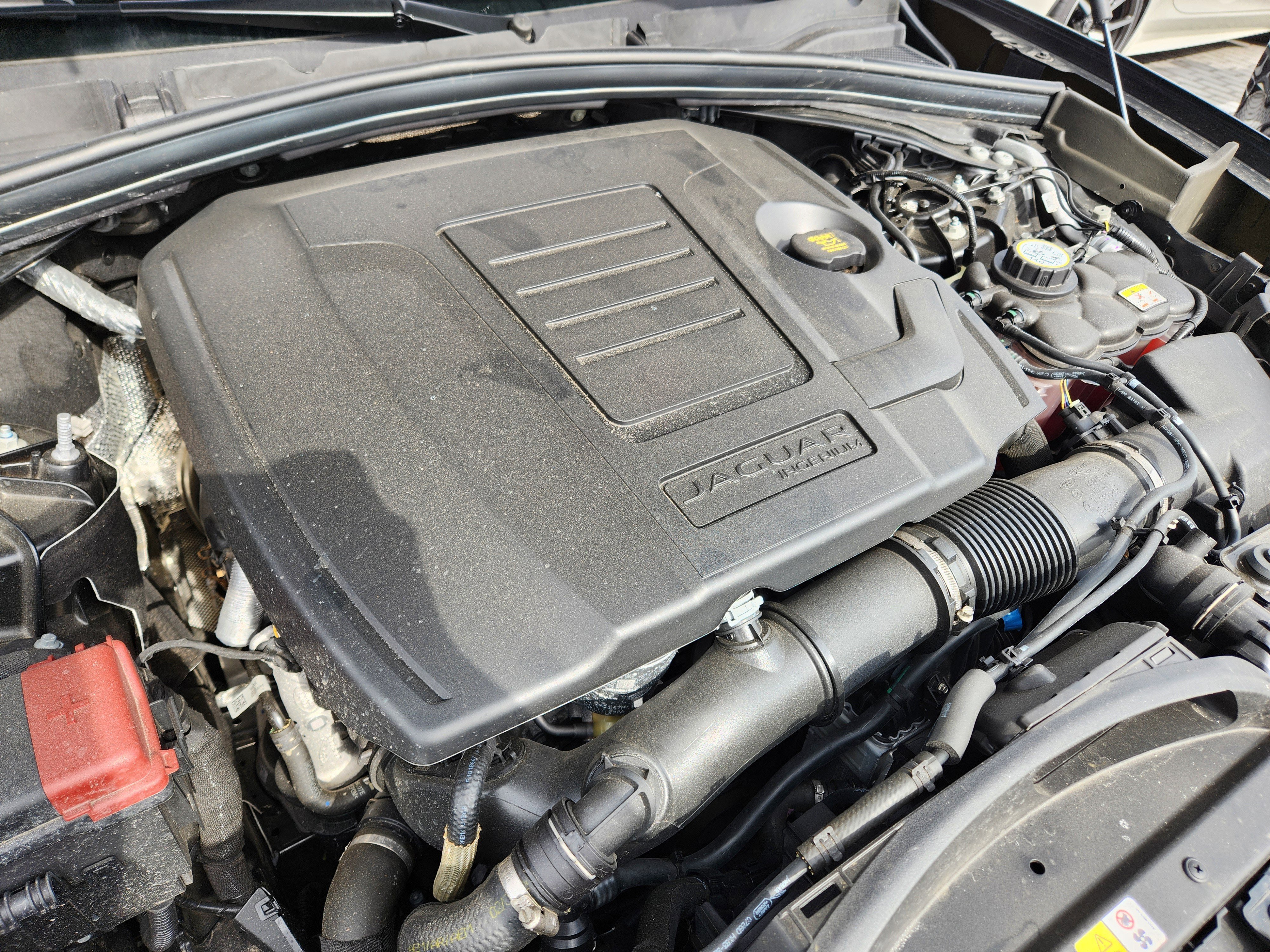 Certified 2026 Jaguar F-PACE R-Dynamic S image 9