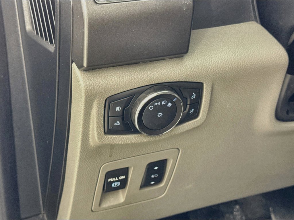 Used 2019 Ford F150 XLT w/ Equipment Group 302A Luxury AWD/4WD image 12
