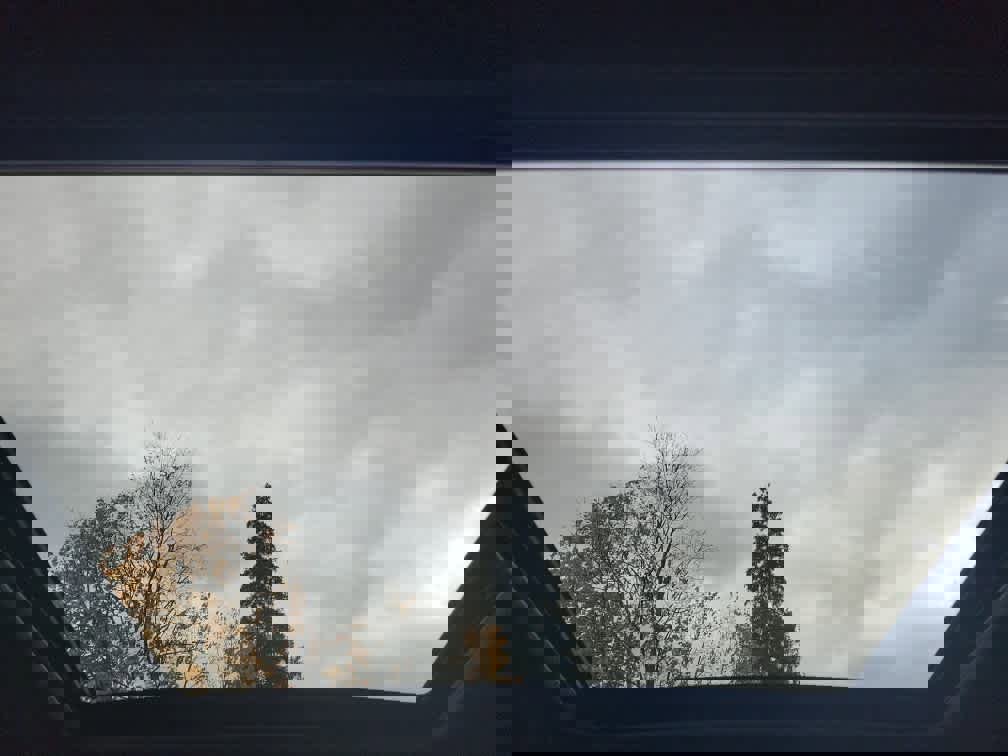 Certified 2025 Subaru Forester Premium image 13