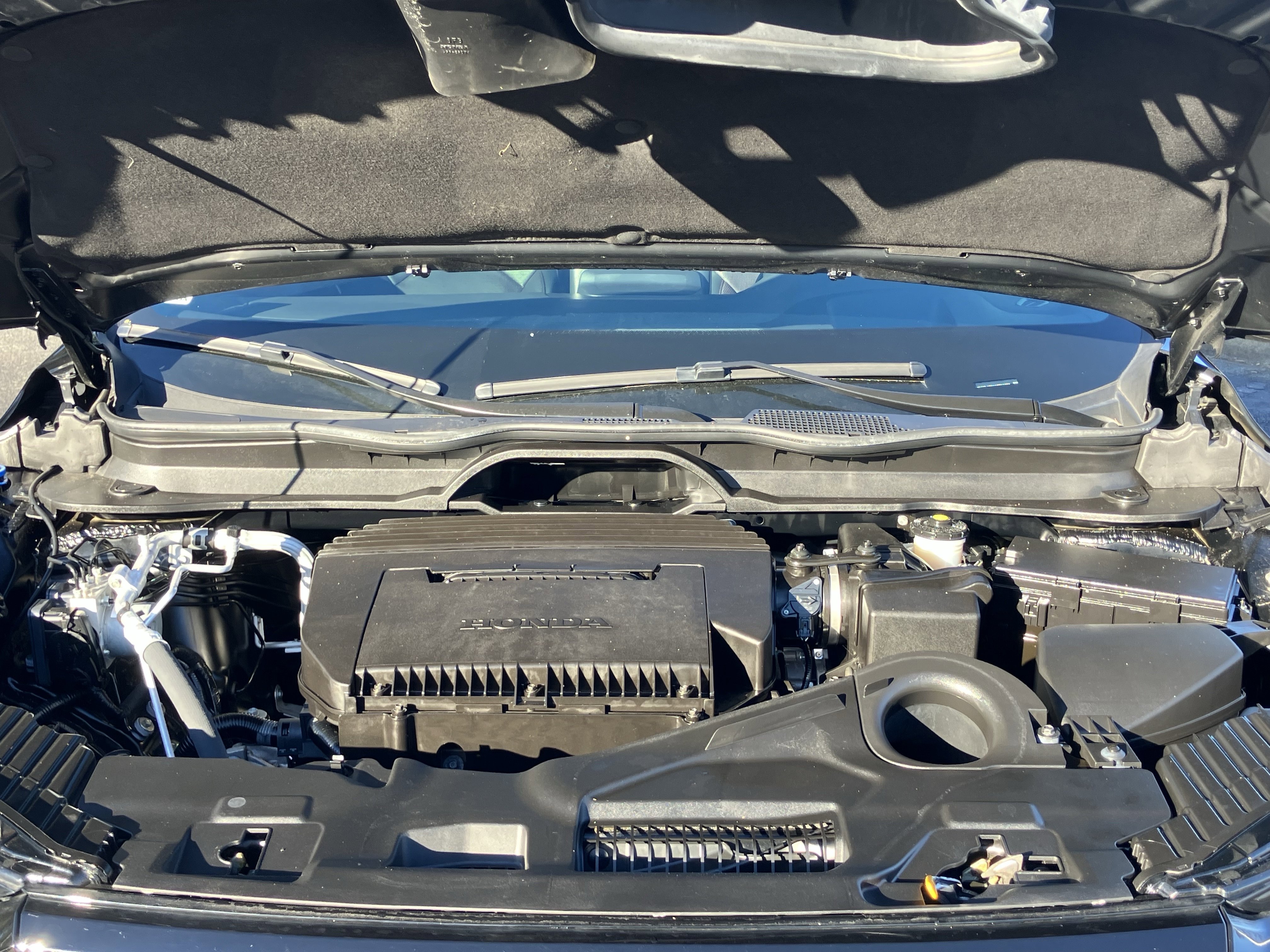 Certified 2025 Honda Pilot Black Edition image 39