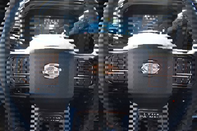 New 2025 Ford F250 Platinum image 6