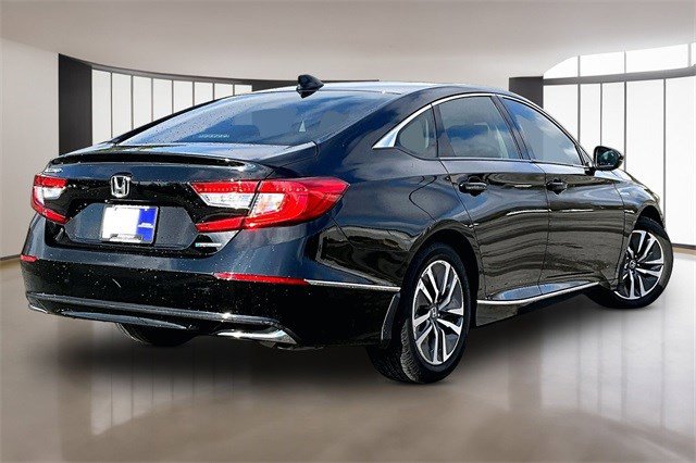 Certified 2019 Honda Accord EX-L image 6