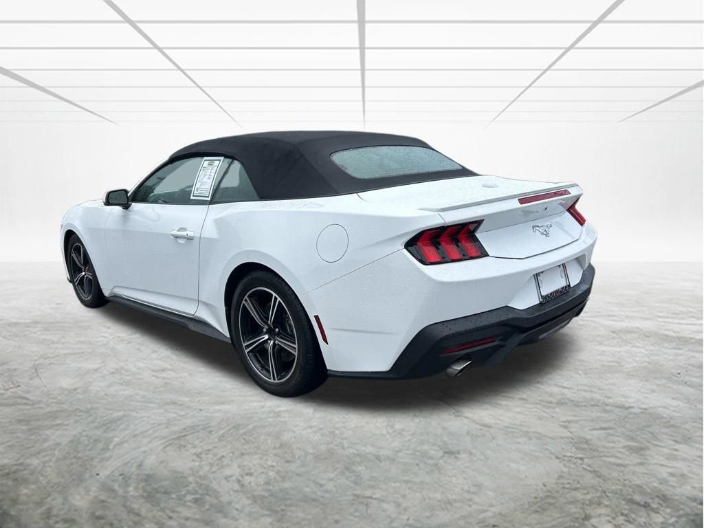 Used 2024 Ford Mustang Premium image 6