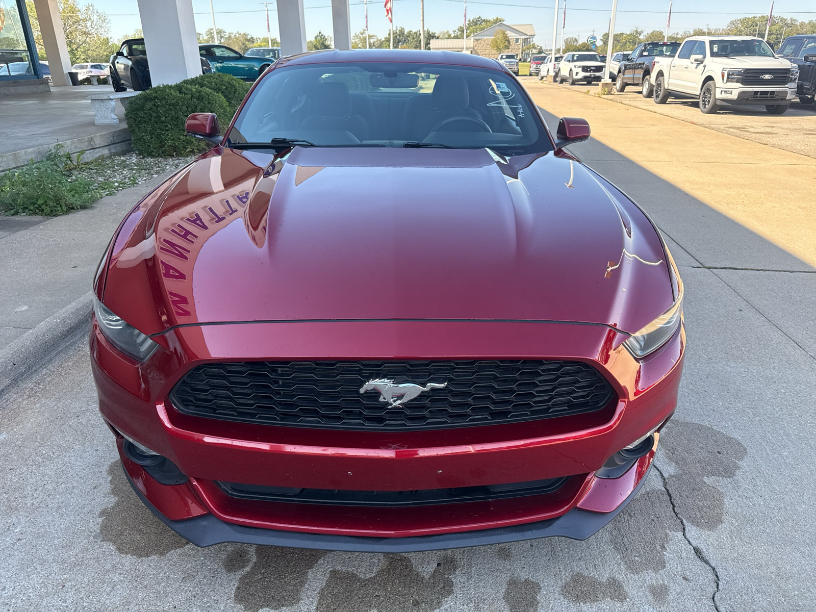 Used 2017 Ford Mustang Coupe RWD image 3