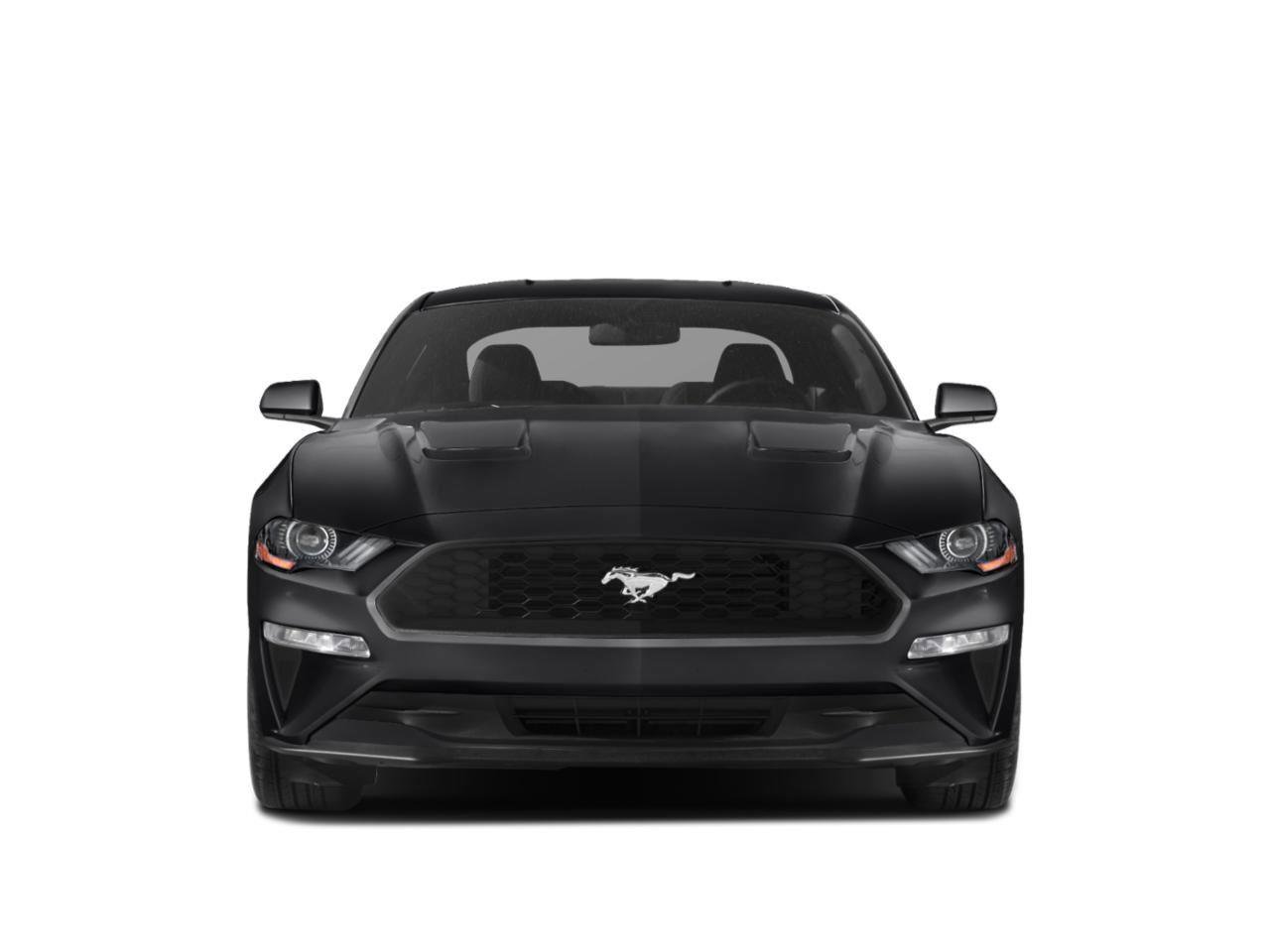 Used 2018 Ford Mustang GT image 13