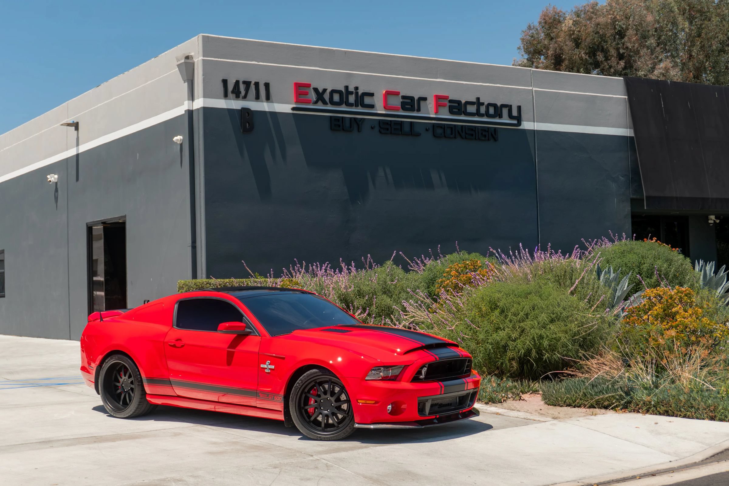 Used 2014 Ford Mustang Shelby GT500 w/ Equipment Group 821A
