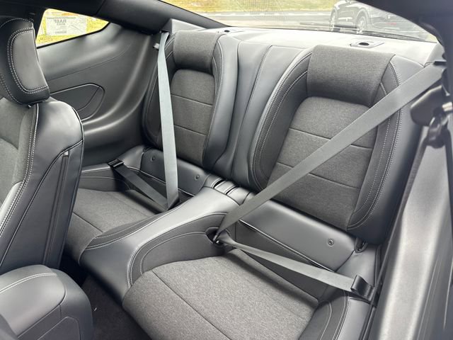 New 2026 Ford Mustang Coupe image 10