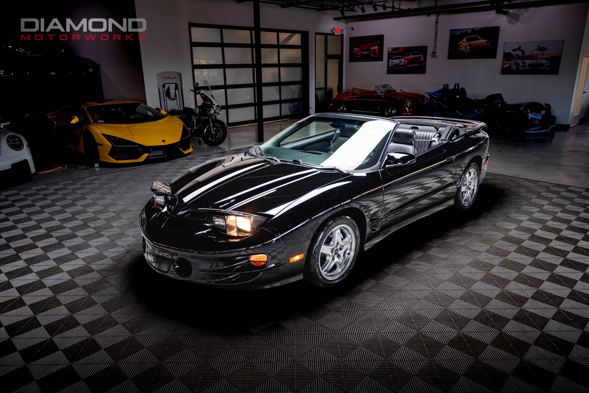 Used 2002 Pontiac Firebird Trans Am RWD image 3