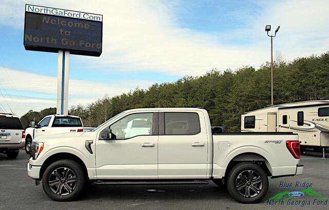 Used 2023 Ford F150 XLT w/ Equipment Group 302A High image 2