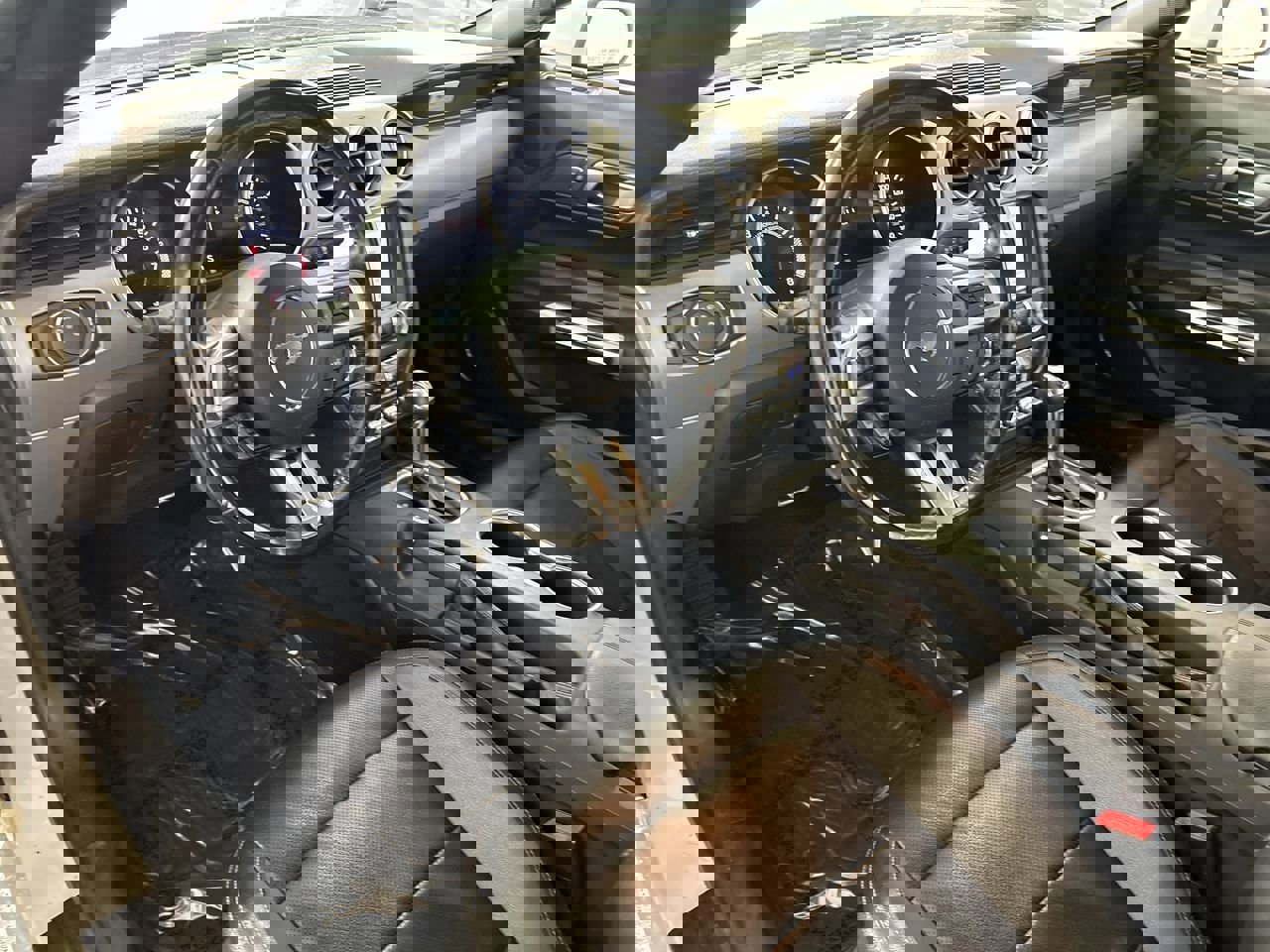 Used 2022 Ford Mustang Premium image 12