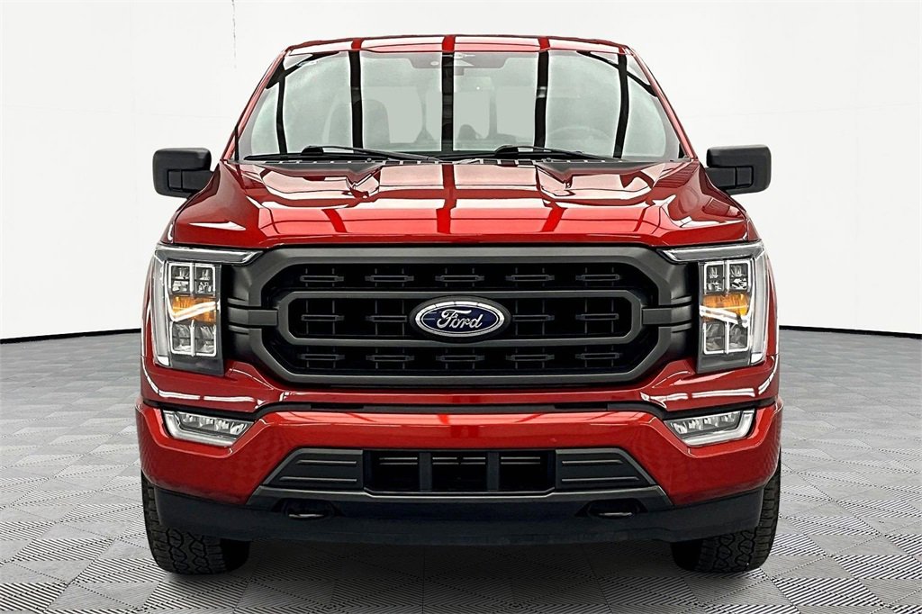 Used 2023 Ford F150 XLT w/ Equipment Group 302A High image 3