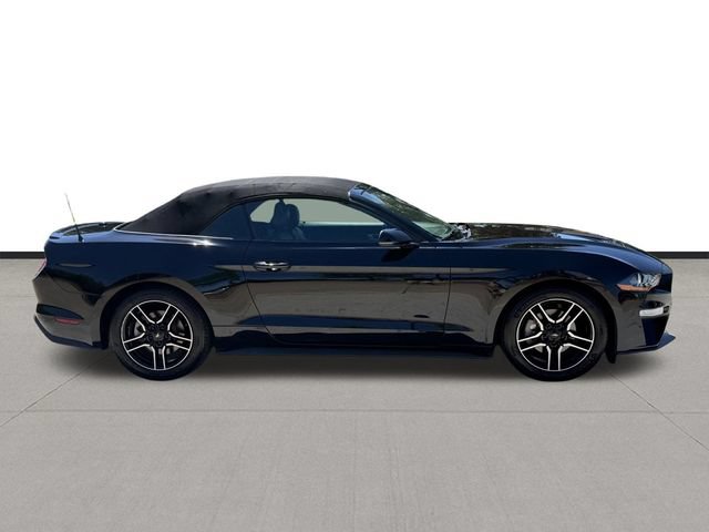 Used 2019 Ford Mustang Premium RWD image 4