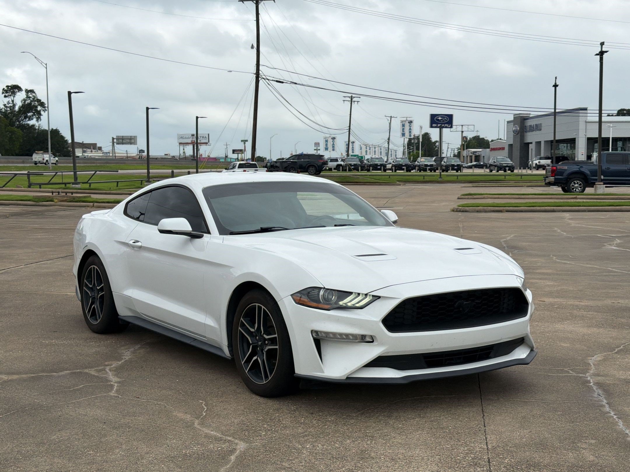 Used 2019 Ford Mustang Premium RWD image 7