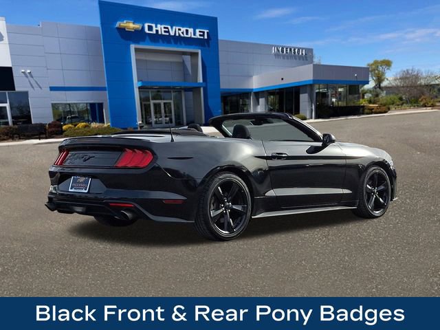 Used 2021 Ford Mustang Convertible w/ Equipment Group 101A image 9