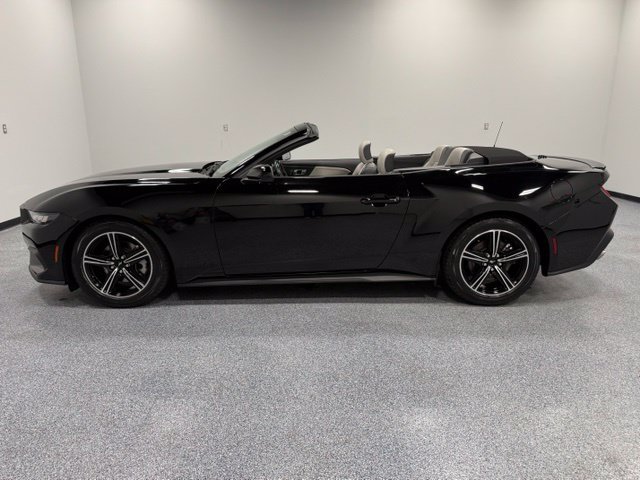 Used 2024 Ford Mustang Premium RWD image 6