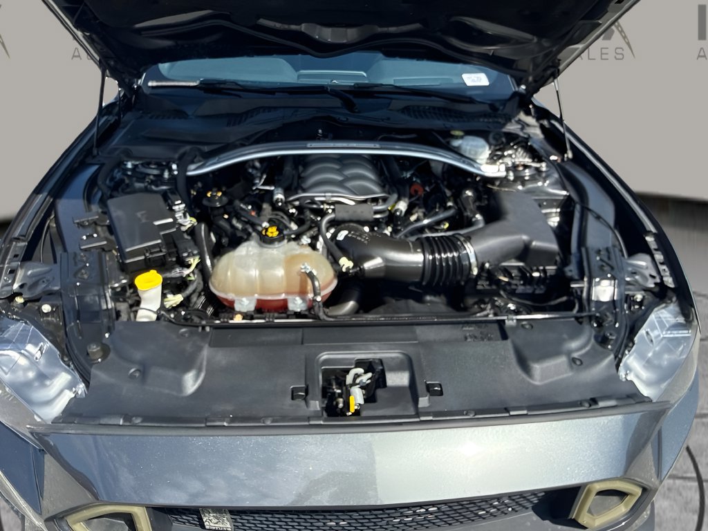 Used 2019 Ford Mustang GT w/ GT Performance Package RWD image 17