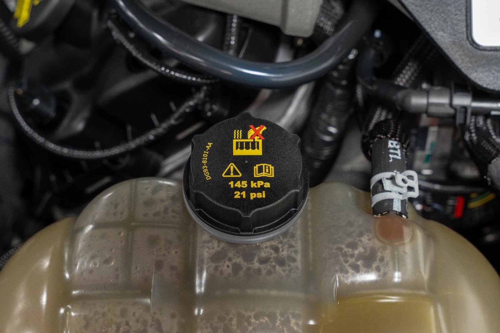 Used 2015 Ford Mustang GT Premium w/ Equipment Group 401A image 41