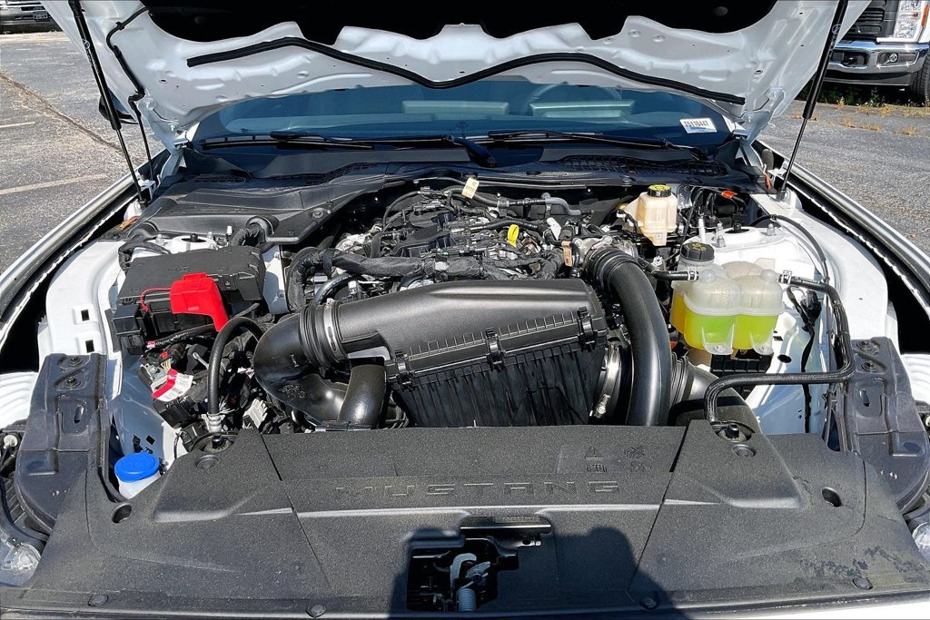 New 2026 Ford Mustang Coupe w/ Mustang Nite Pony Package RWD image 12