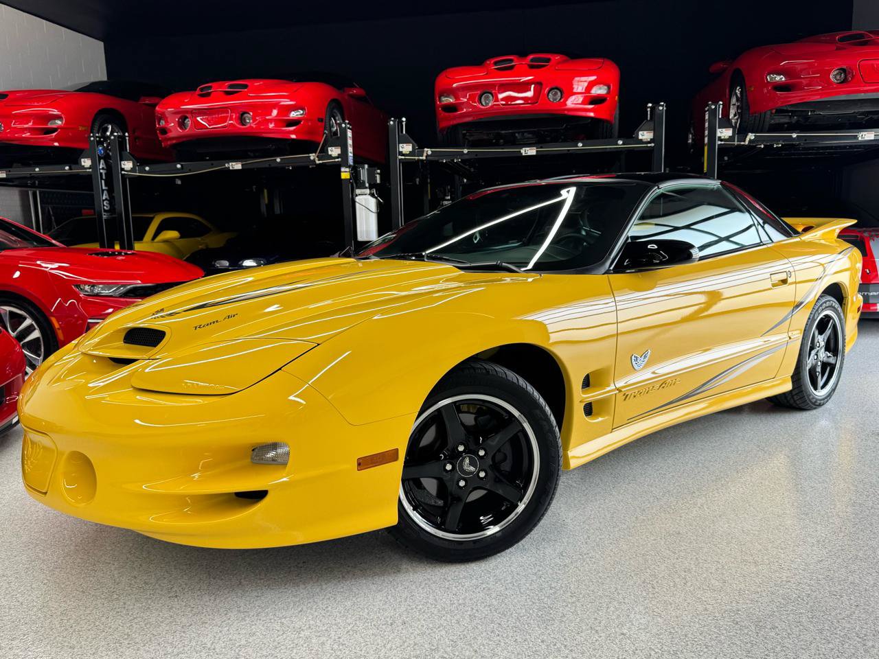 Used 2002 Pontiac Firebird Trans Am RWD image 3